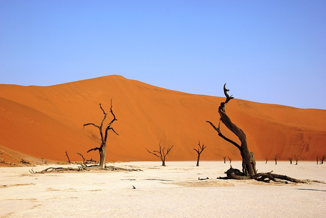 deadvly, namibia, desert