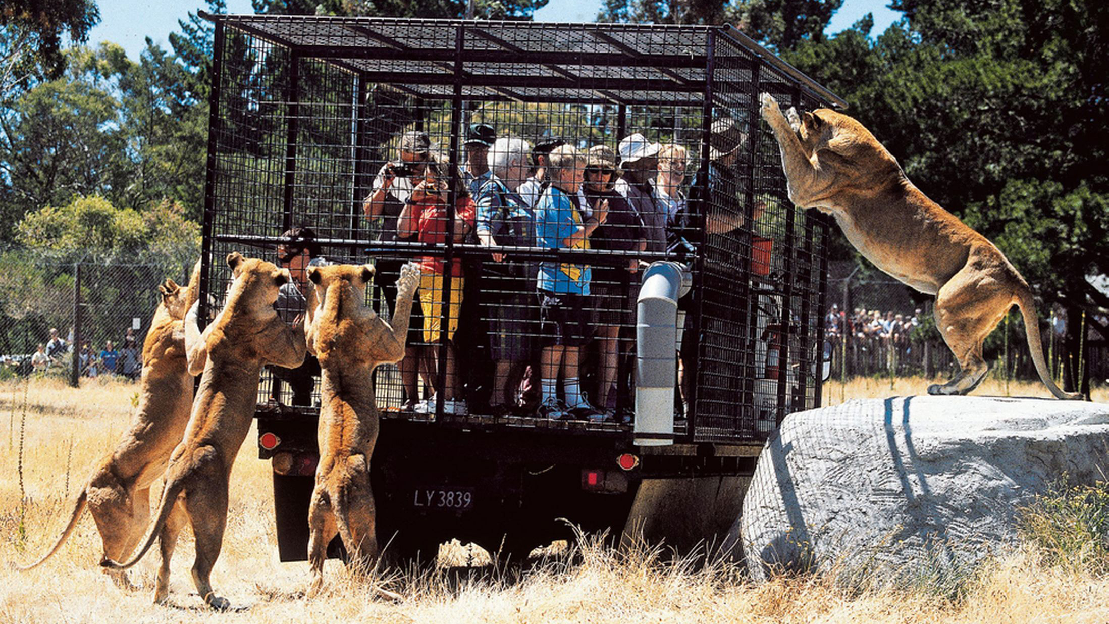  park in in agadir in the safari parc marrakech from
